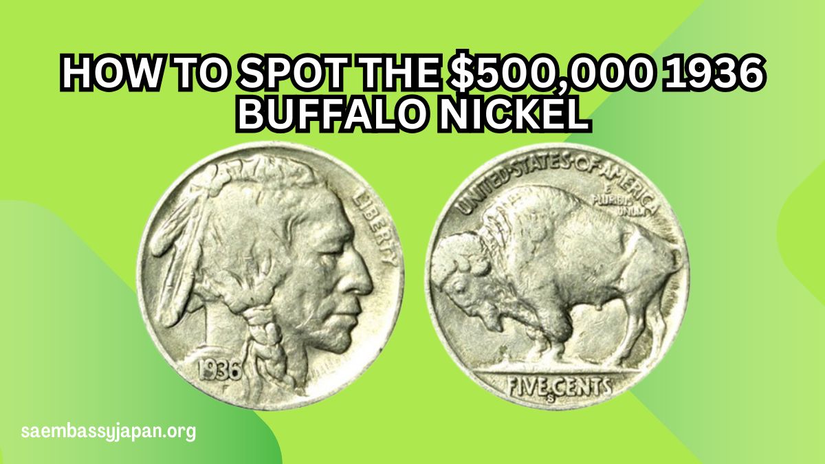 How to Spot the $500,000 1936 Buffalo Nickel in Your Collection